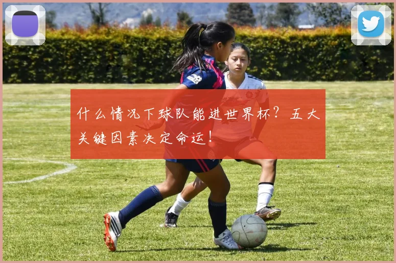 什么情况下球队能进世界杯？五大关键因素决定命运！