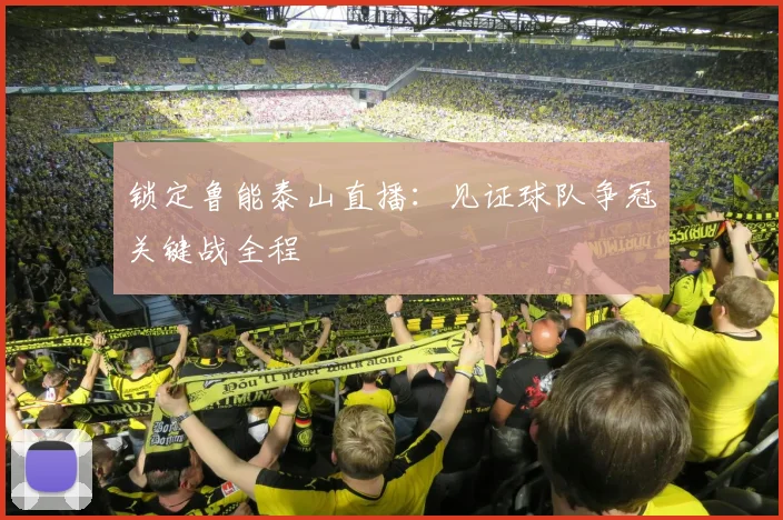 锁定鲁能泰山直播:见证球队争冠关键战全程