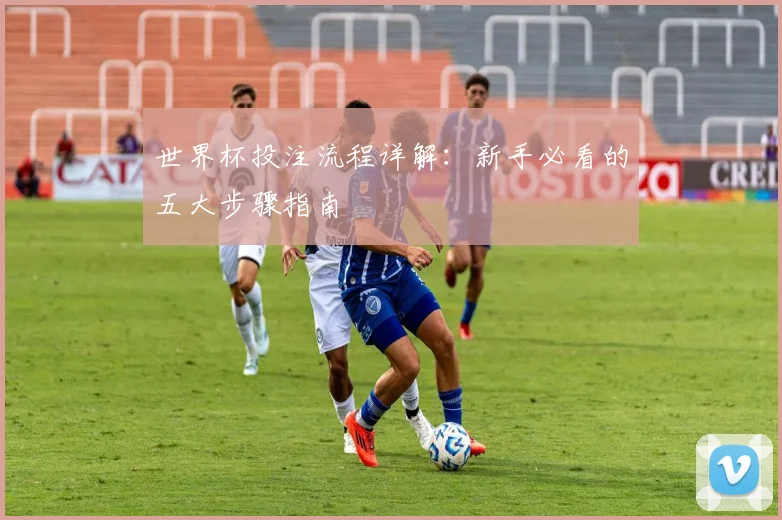 世界杯投注流程详解：新手必看的五大步骤指南